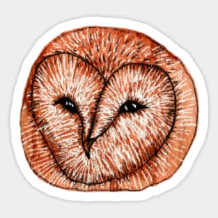 Barn owl Sticker